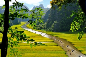 Hoa Lu - Tam Coc 01 Day trip